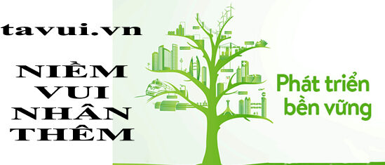 tavui.vn